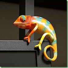 USBJI